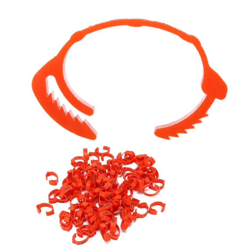 AHS - 100pcs Segel Kaki Ayam Gelang Ayam Kaki Ring Kaki Ayam Bangkok Segel Ayam Kaki Gelang Ayam