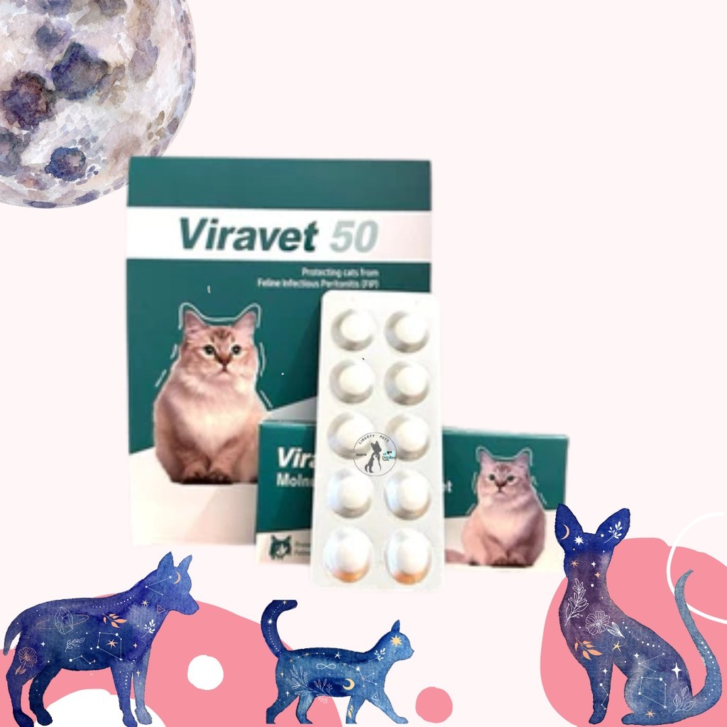 Viravet 50 Molnupiravir 50mg (1 TABLET) Obat FIP Basah / FIP Kering Pada Kucing