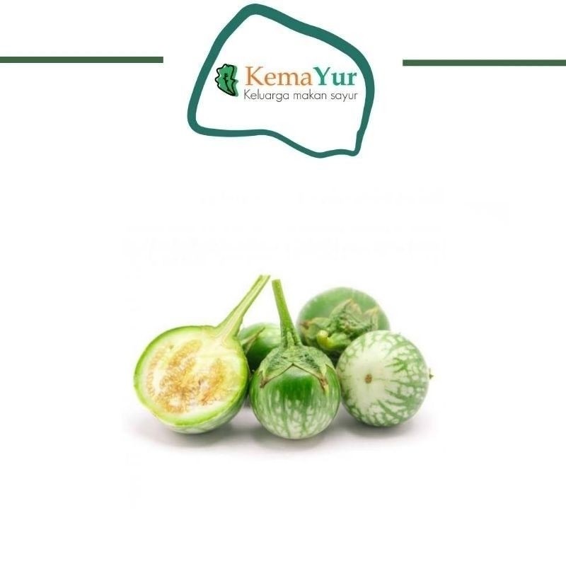 

TERONG LALAP GROSIR 1KG