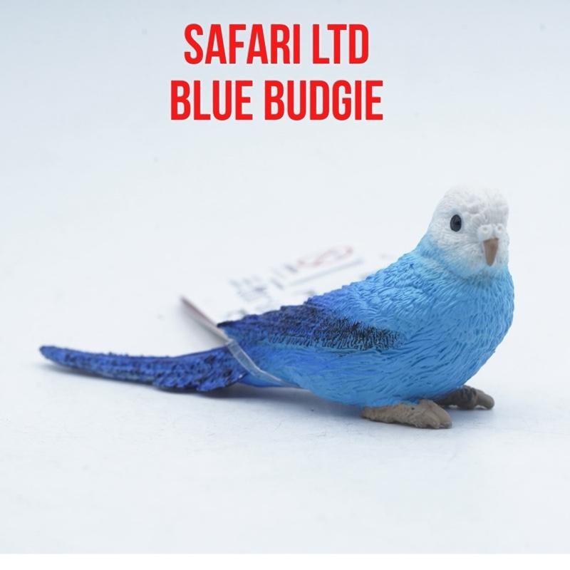 Safari Ltd Blue Budgie Bird Burung Parkit Biru Budgerigar  Melopsittacus undulatus Mainan Binatang M
