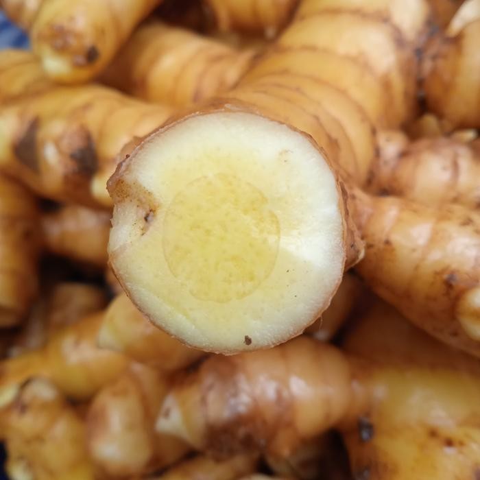 

kunyit mangga/temu mangga segar 1 kg Shop with