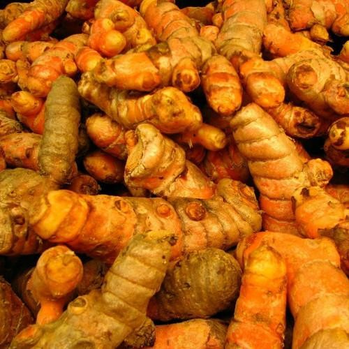 

Jual kunir / kunyit kuning / kunyit sayur / bumbu masakan fresh segar 1 kg Shop with