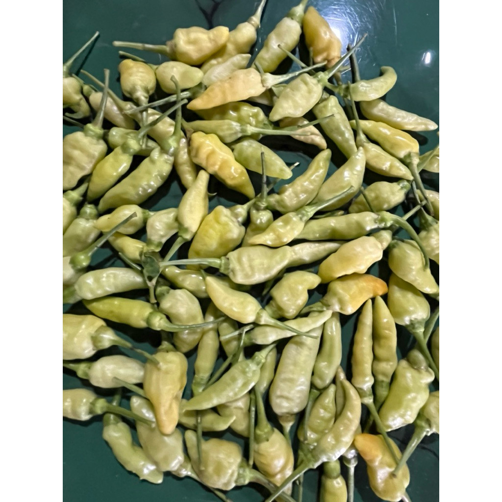 

PROMO cabe | sayur segar | Cabai rawit merah, hijau dan putih 1 KG fresh termurahhh