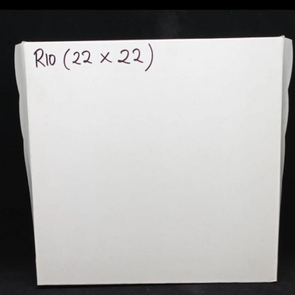 Dus Nasi Kotak Putih Polos R10B Ukuran 22x22