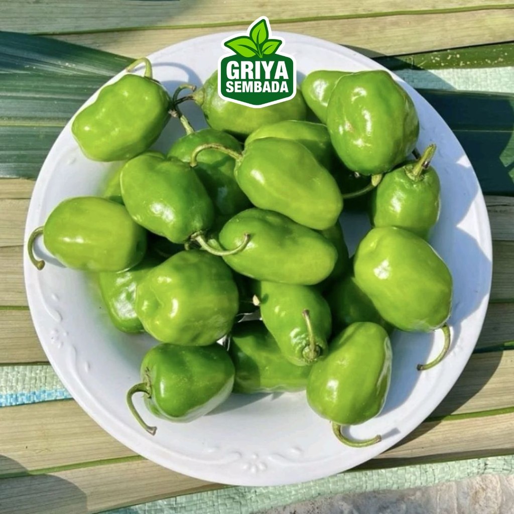 

Cabe Gendot Segar Murah 500 Gram Kirim Instant /Sameday/Grabfood