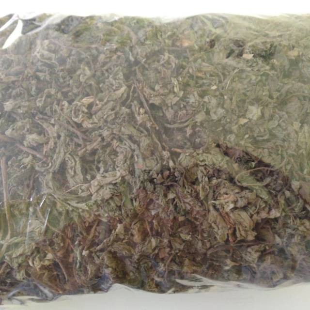 

Daun Jombang Kering 500gr - Utk Kesehatan Hati Dan Obat Alami Batu Ginjal