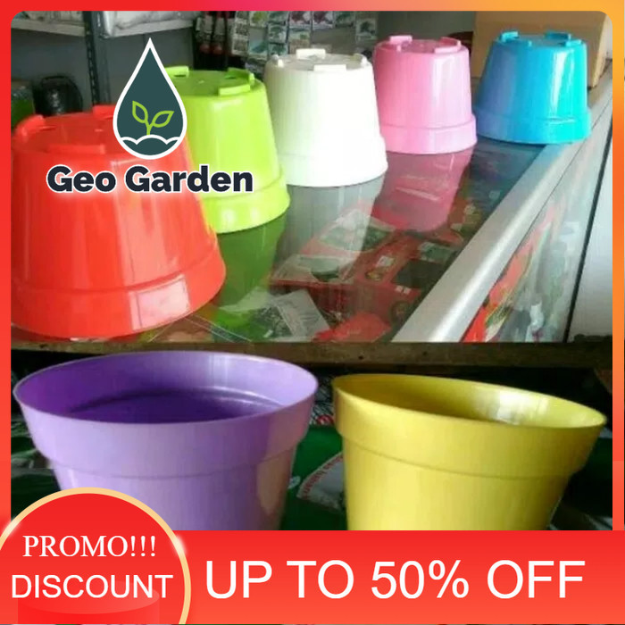 bibit pot bunga warna warni