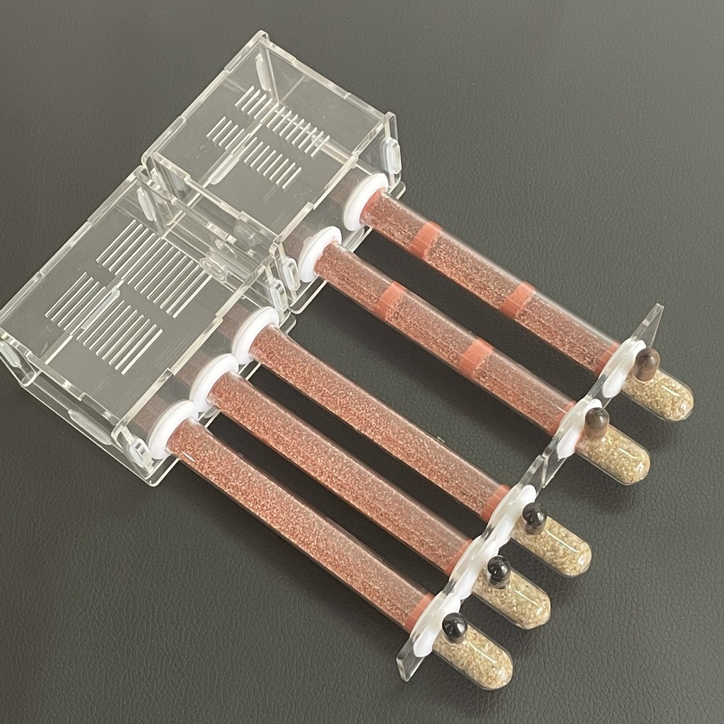 Bamboo Test Tube Ant Farm DIY Acrylic Ant House Bamboo Tube Nest Anthill Workshop Insect Castle Mois