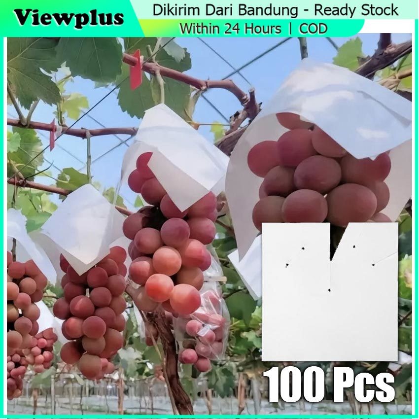 100Pcs Payung Anggur Fruit Cover Pembungkus Pelindung buah Anti Air Hama 26 X 26 / Pembungkus Buah A