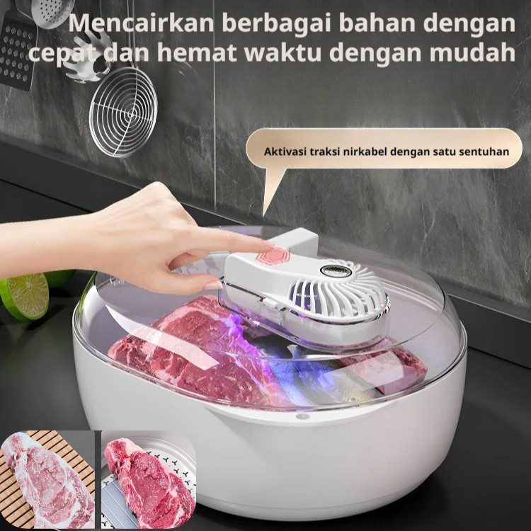 ✨Kirim Dalam 24 Jam/COD✨3 in 1 Multifuntional Defrost Box/Wadah Sterilisasi Pencairan Es Portabel/St