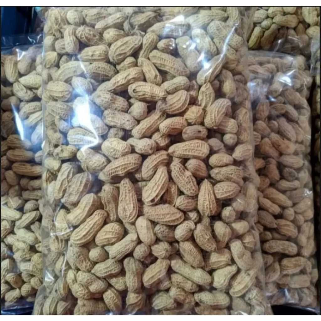 

[500 gram1 Kilo Lebih Hemat] Kacang Kulit Sangrai | Kualitas Super | Halal, Garing, Gurih, Manis dan Renyah