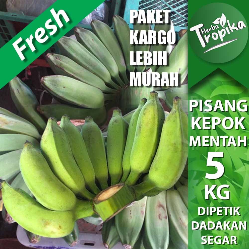 

Paket Kargo Pisang Kepok Mentah 5 kg Fresh toko herba tropika