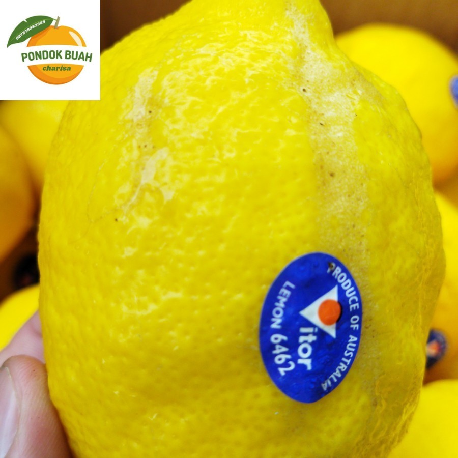 

LEMON IMPORT MURAH 10000 PERBIJI