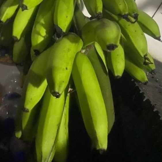 

Buah Pisang Mentah IND 500 GR Pisang Bangkaulu Fresh