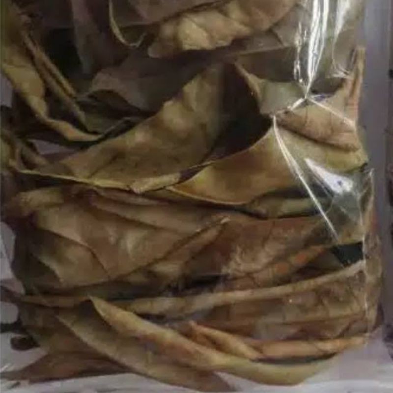 

COD Daun sukun segar dan kering untuk herbal 500gram
