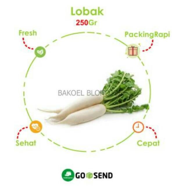 

LOBAK PUTIH 1KG / WHITE RADISH / FRESH VEGETABLES / VEGETABLE / SAYUR SAYURAN SEGAR BERKUALITAS BEST SELLER