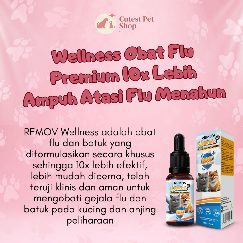 

Obat Flu dan Batuk Pilek Untuk Kucing Paling Ampuh Juga Mengatasi Demam Bersin - REMOV Wellness 20ml