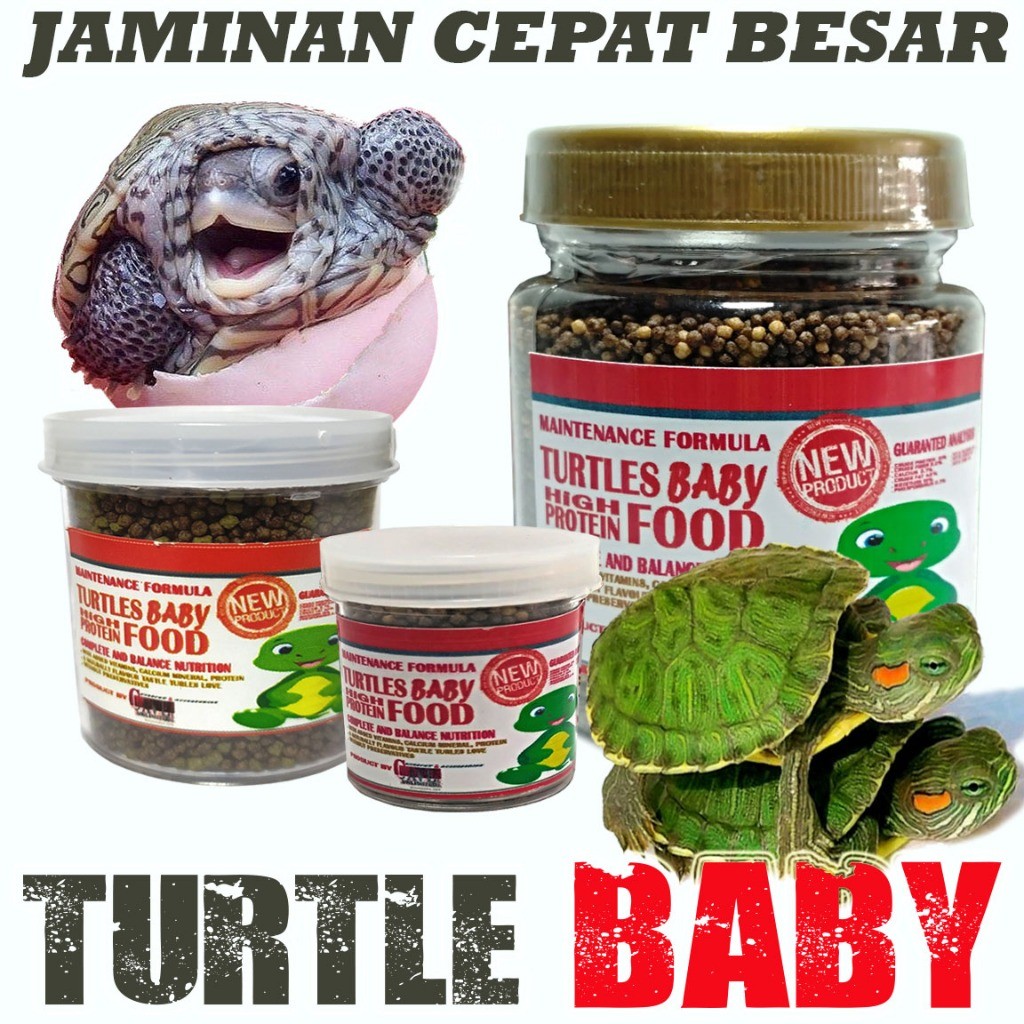 MAKANAN BAYI KURA KURA AIR BRAZIL KURA KECIL HIJAU BABY DAMER KURA AMBON PELLET PAKAN TURTLE FOOD