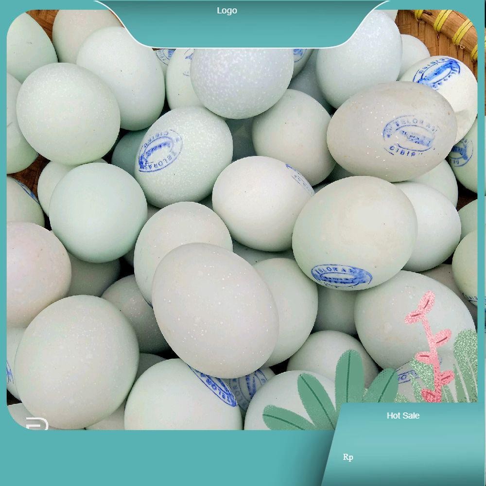 

Telur Asin Kualitas Terbaik dari Brand Terpercaya