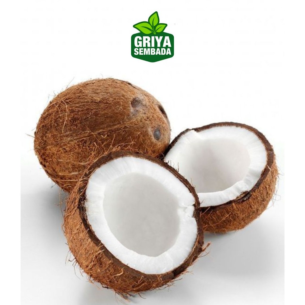 

Kelapa Tua Bahan Santan/Kelapa Tua Utuh/Buah Kelapa Kirim Instant /Sameday/Grabfood