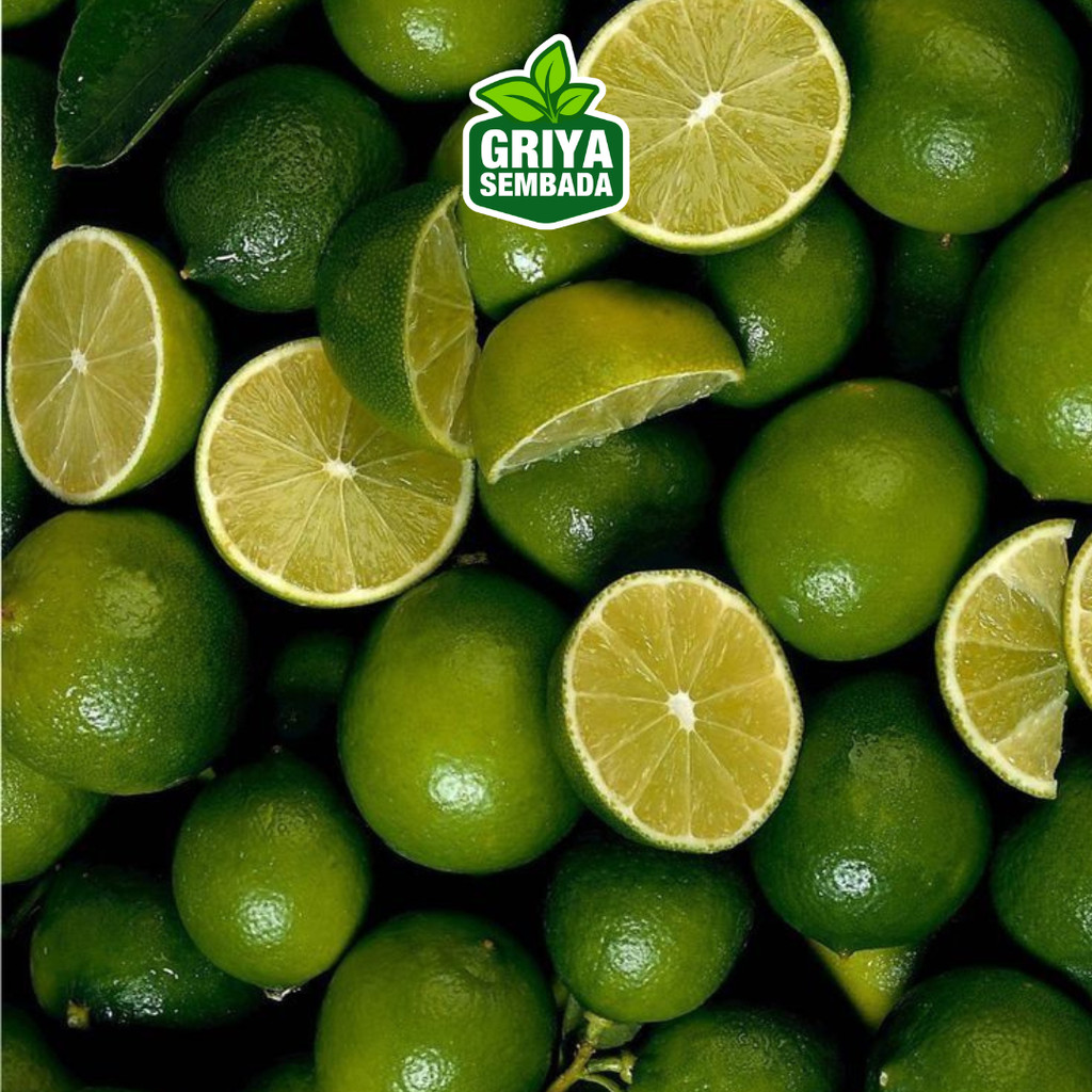 

Jeruk Nipis Segar 1 Kg