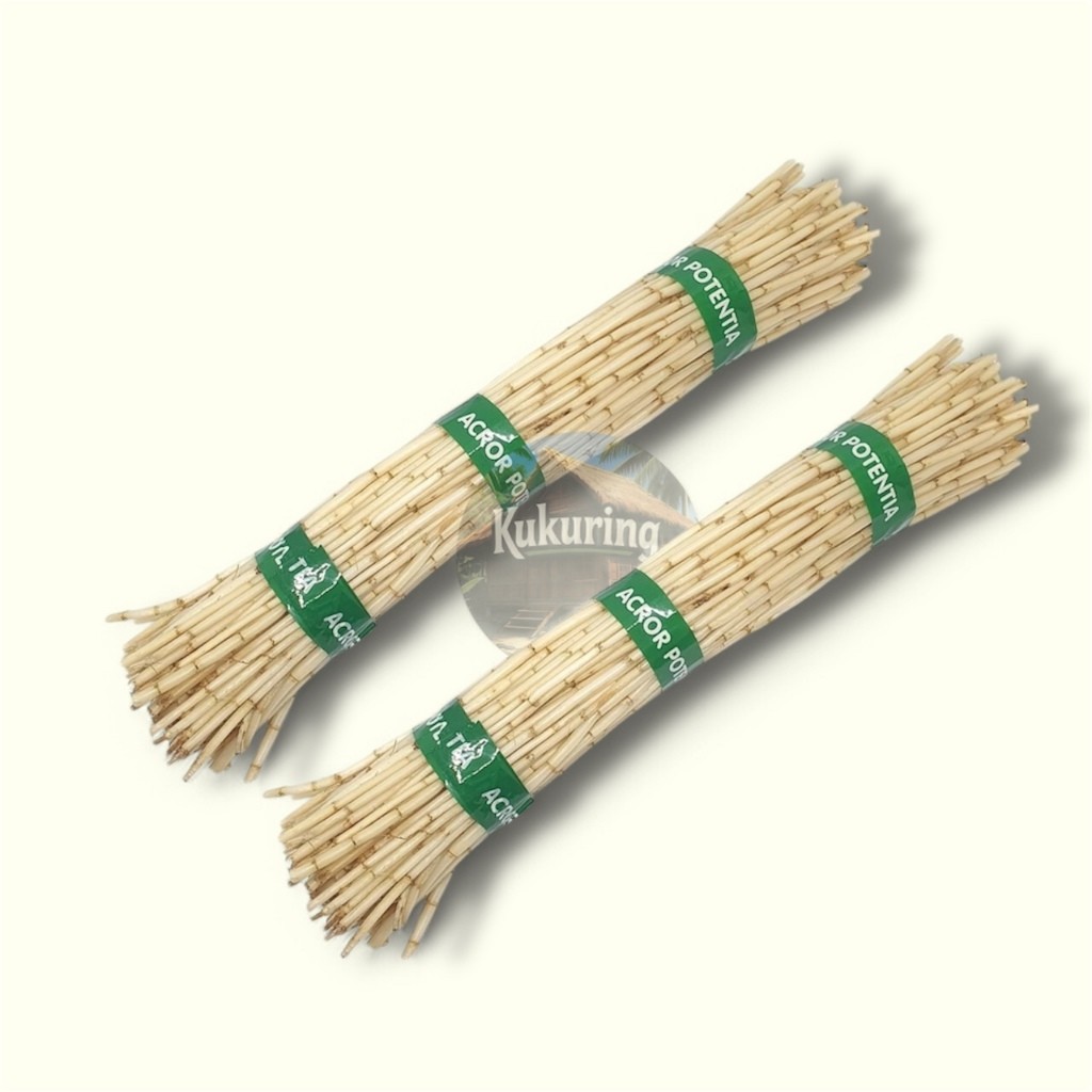 

Akar Alang Alang Segar kenzi herbal