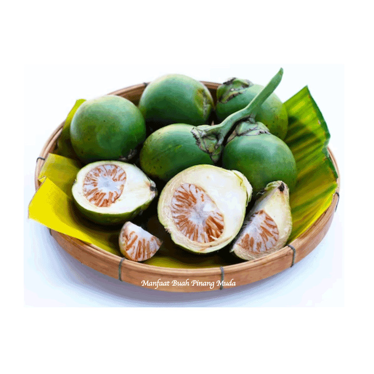 

Muda dan segar pinang jambe anum 1 kg