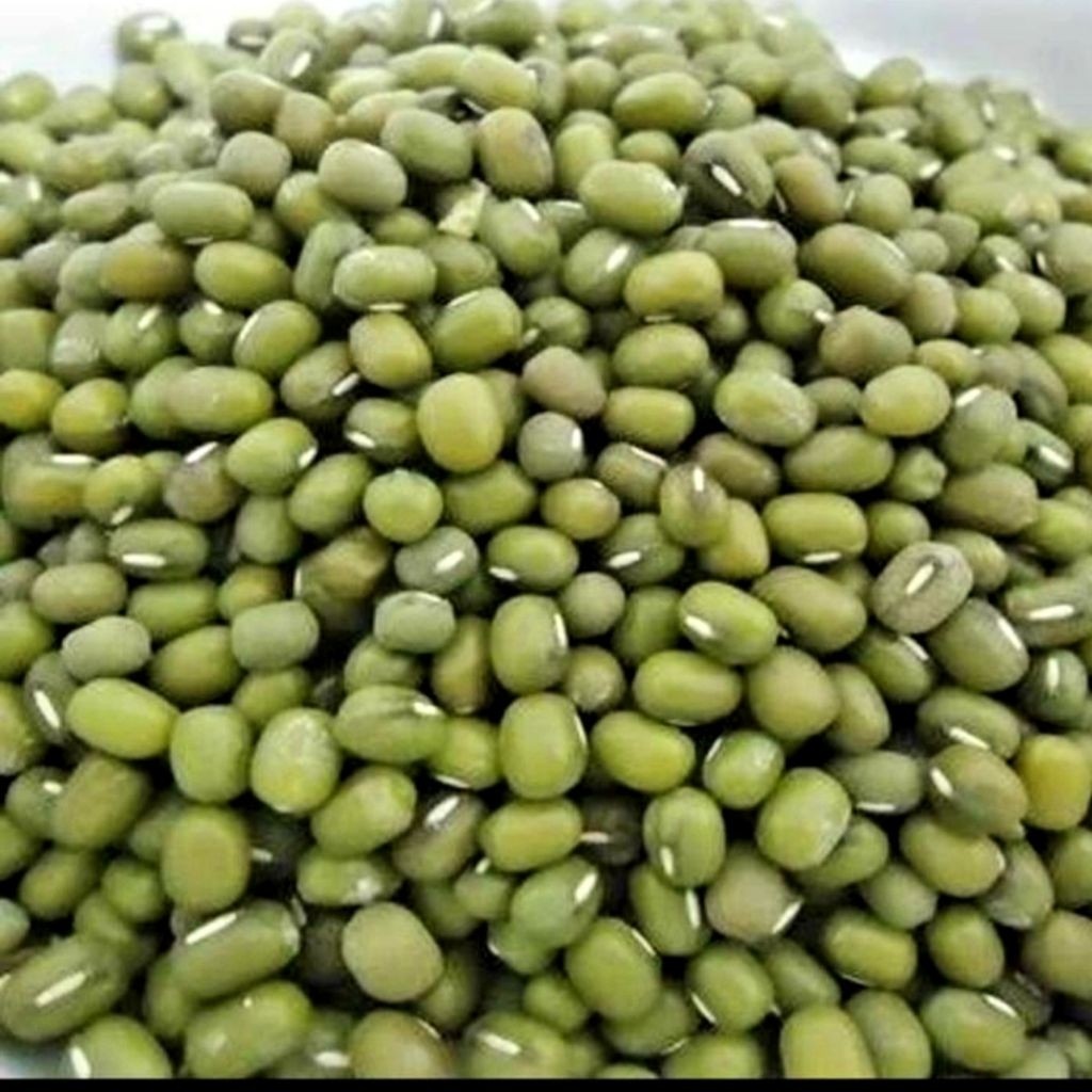 

Kacang Ijo Bubur 1Kg