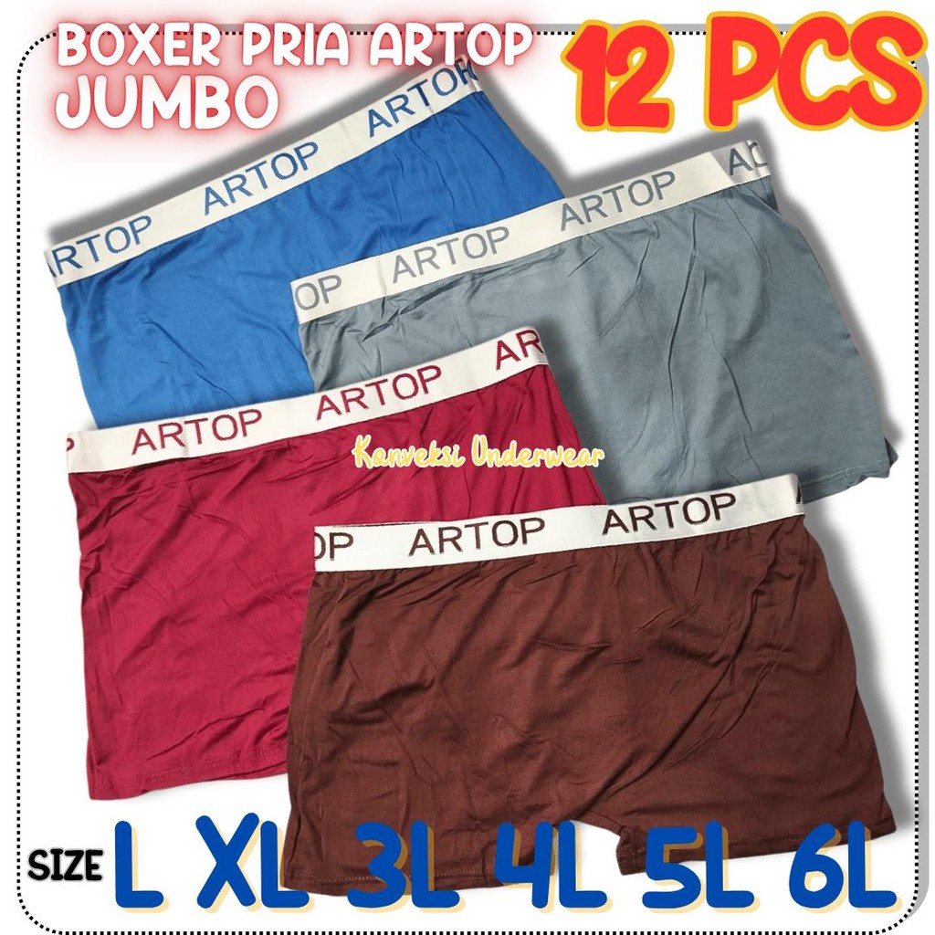12 PCS Celana Dalam CD Boxer Laki-Laki Pria Dewasa Cd Boxer Artop Murah Berkualitas Best Seller Arto
