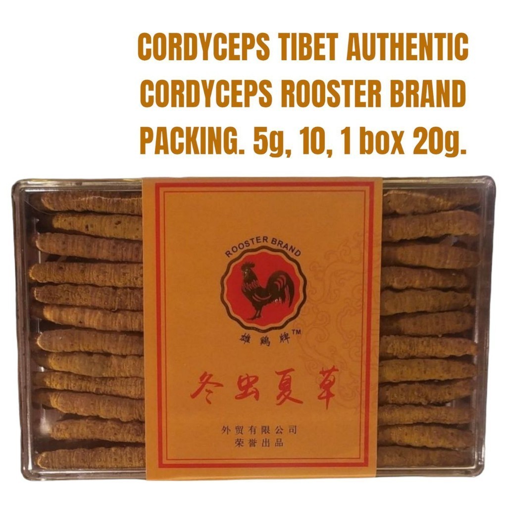 Cordyceps Sinensis Tibet Original import Tibet Premium