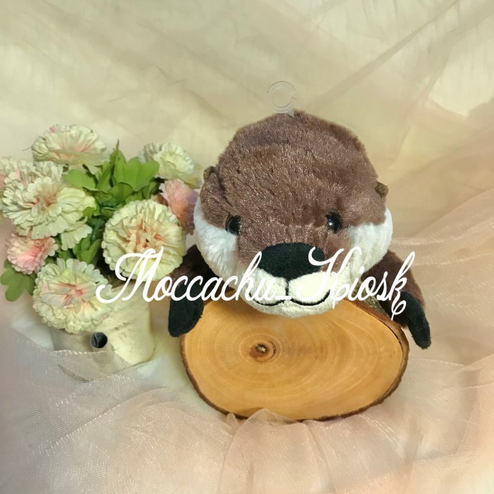 

NEW ! BEST SELLER Tempat pensil karakter hewan/BESTEVER pencase/plush pouch - River otter
