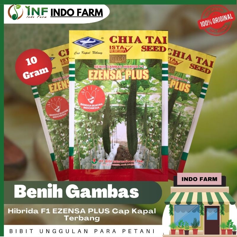 Bibit Benih Gambas Oyong EZENSA PLUS 10 gram Cap Kapal Terbang - INF INDO FARM