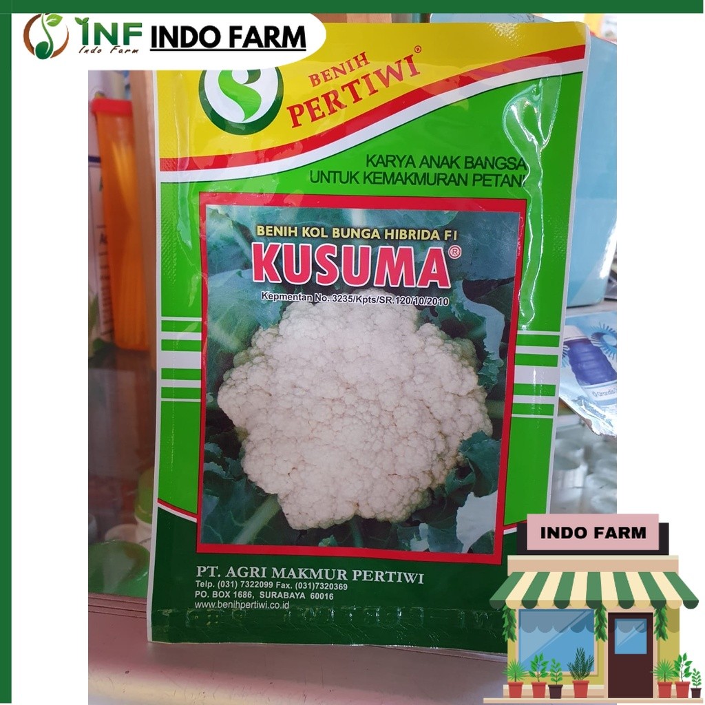Benih Kol Bunga Hibrida F1 KUSUMA 10gr Cap Benih Pertiwi - INF INDO FARM