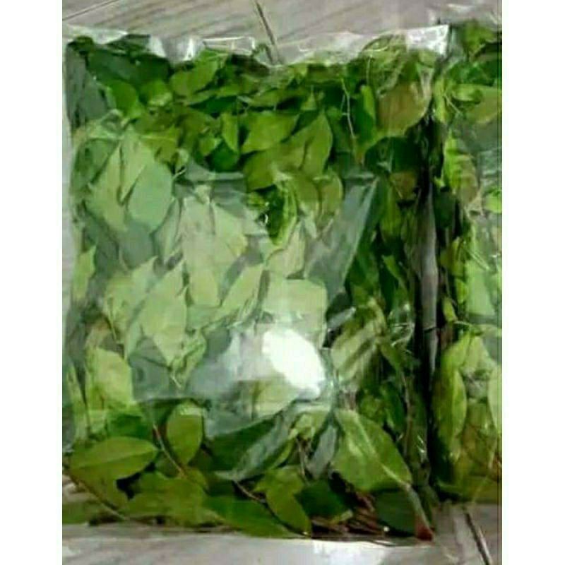 

Daun Gaharu Obat 1 Kg Fresh
