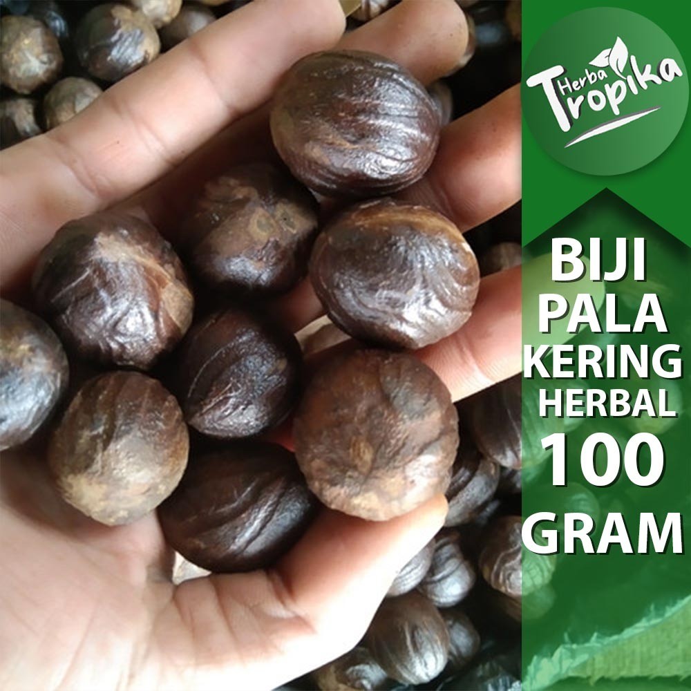 

Biji Pala kering 100 gram rempah dan herbal alami toko herba tropika