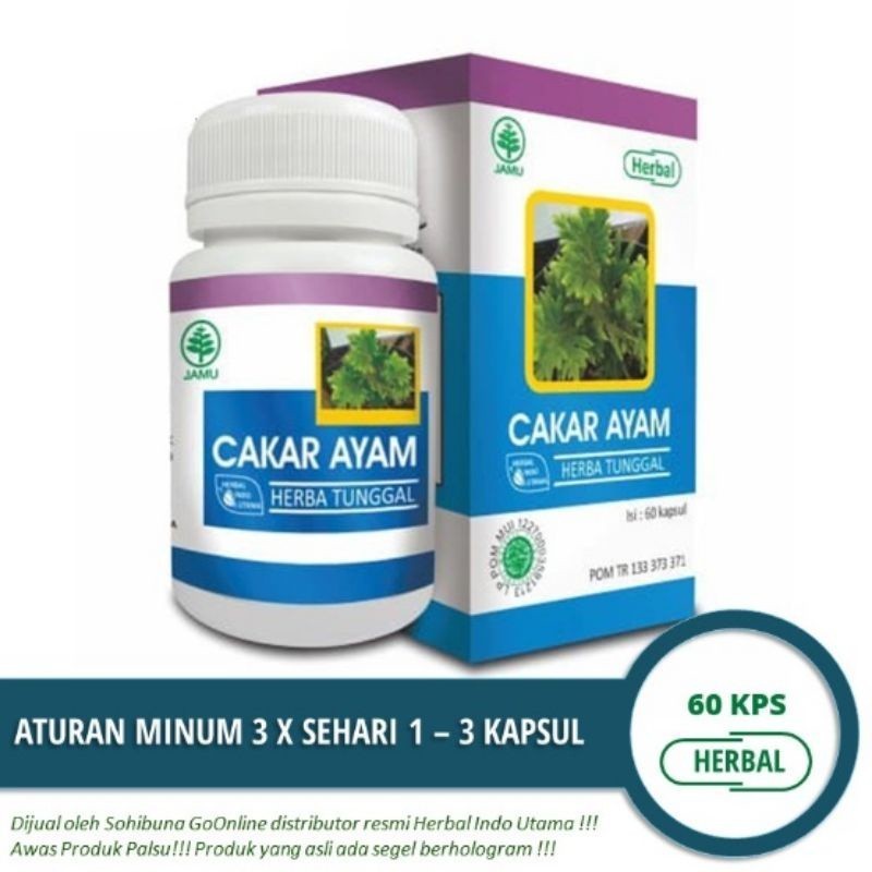 Kapsul Cakar Ayam HIU Original