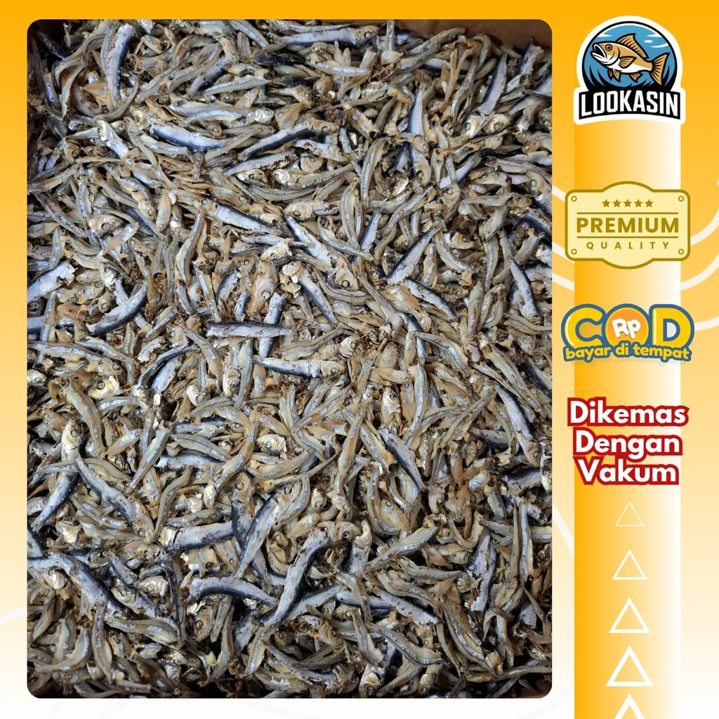 

Ikan Teri Japuh Asin Kering Premium Gurih Renyah Siap Goreng Vacum