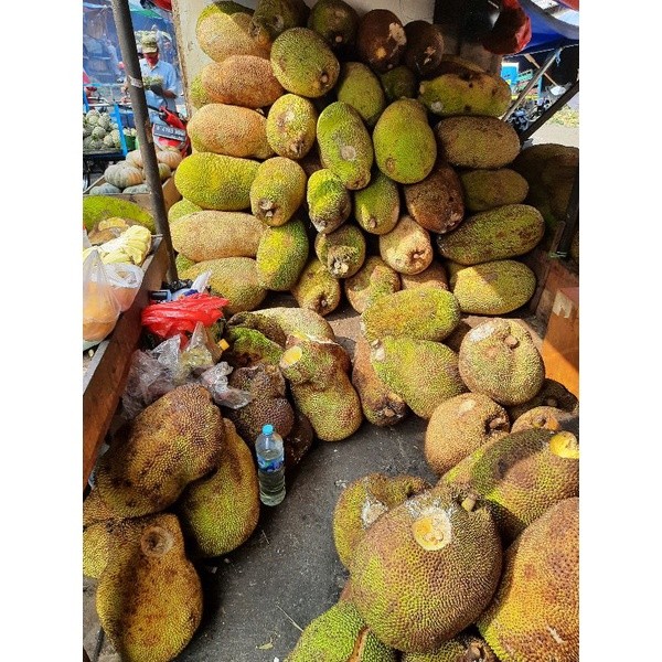 

buah nangka utuh /1 buah