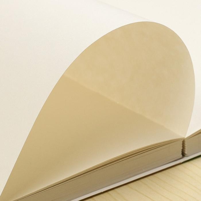 

A4 / B5 Notebooks 256pages Van Gogh Vintage Blank Sketchbook Thick White Paper - Apricot blossom, Big 1826 cm