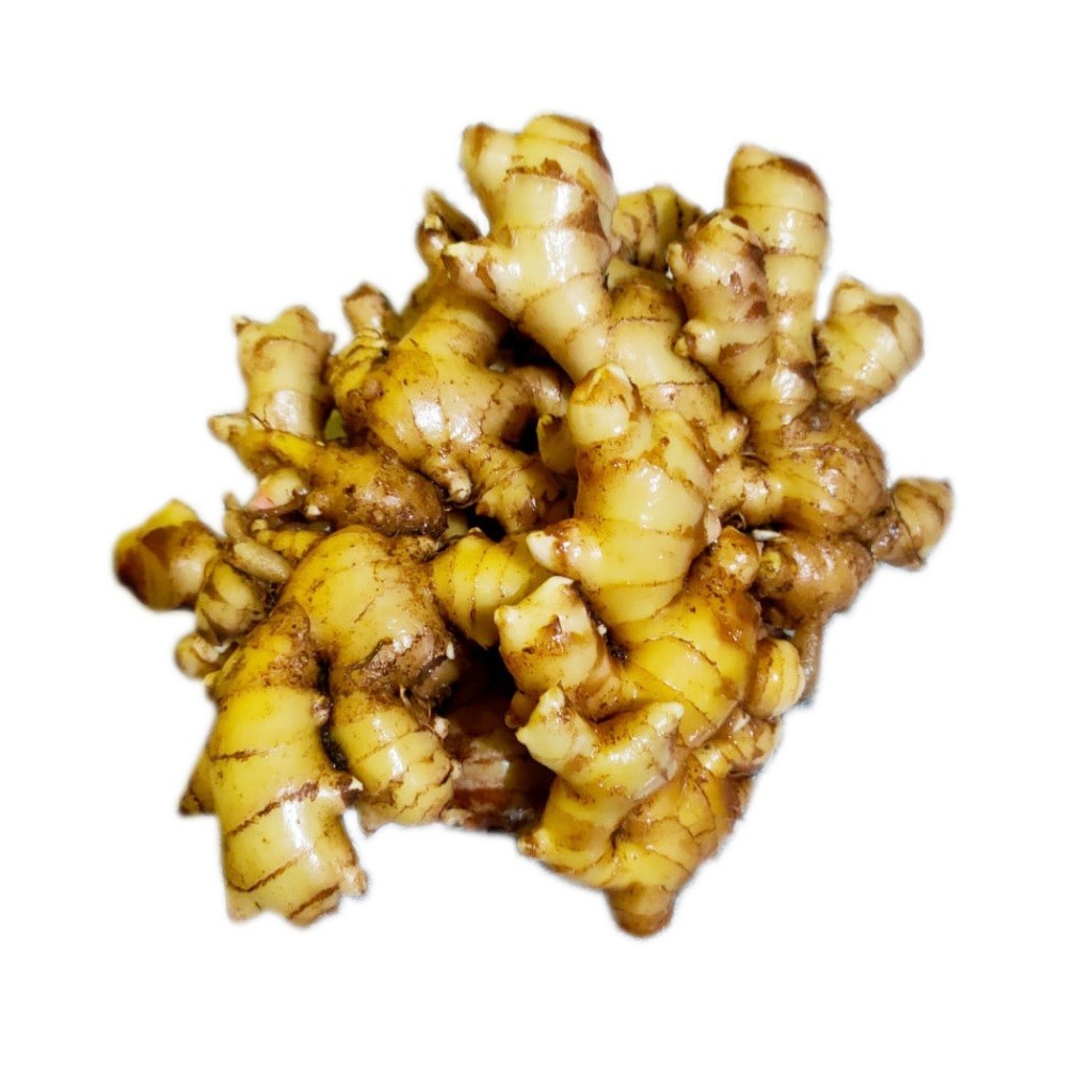 

jahe gajah 1kg jahe putih