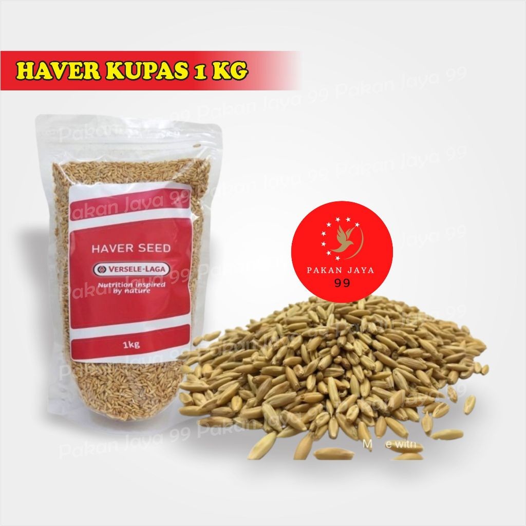 SANGKAR CUNGKOK KOTAK LENGKUNG MATANG 1 PCS RUJI BAMBU KULITAN KANDANG BURUNG PLECI PRENJAK SOGON