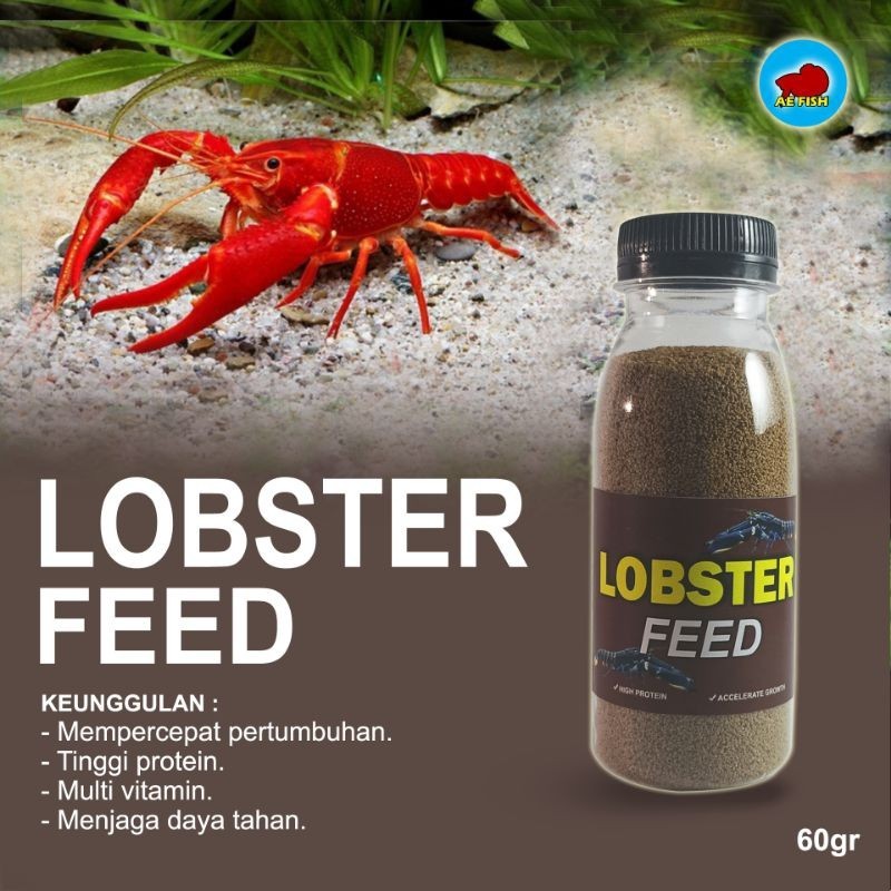 Pelet Pakan Udang Lobster Pelet Lobster 60gr
