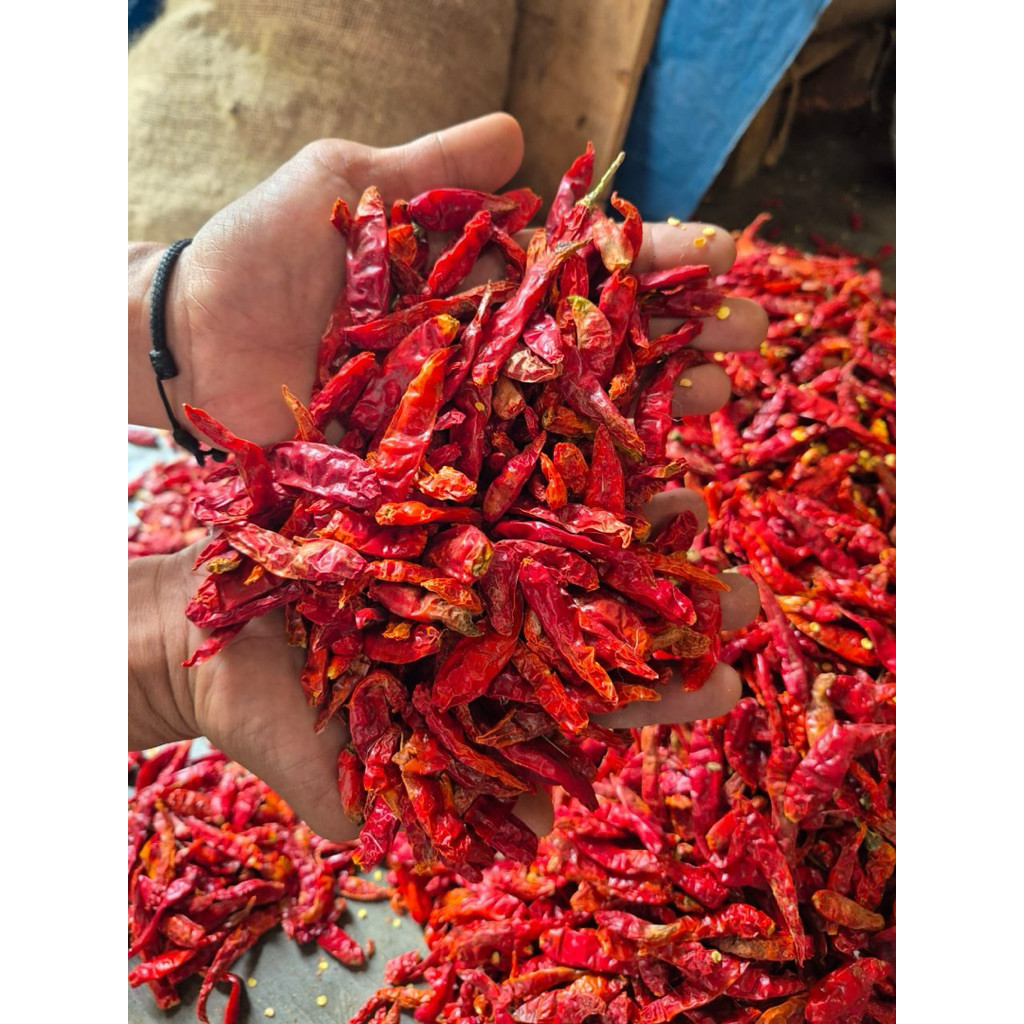 

Paket CABAI CABE MERAH KERING TEJA KERITING BERSIH TANPA TANGKAI 1KG / 1000gram