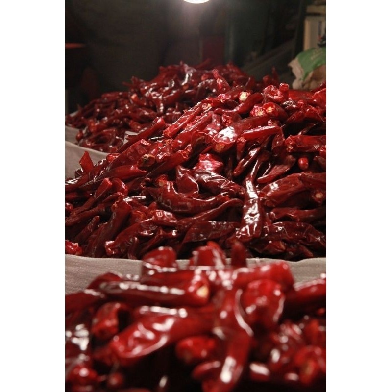 

Paket CABE MERAH BESAR KERING 1KG | TANPA TANGKAI