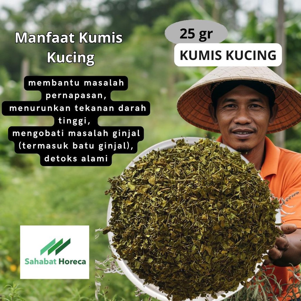 

Daun Kumis Kucing Kering Atasi Batu Ginjal Hipertensi Asam Urat Kemasan Kecil