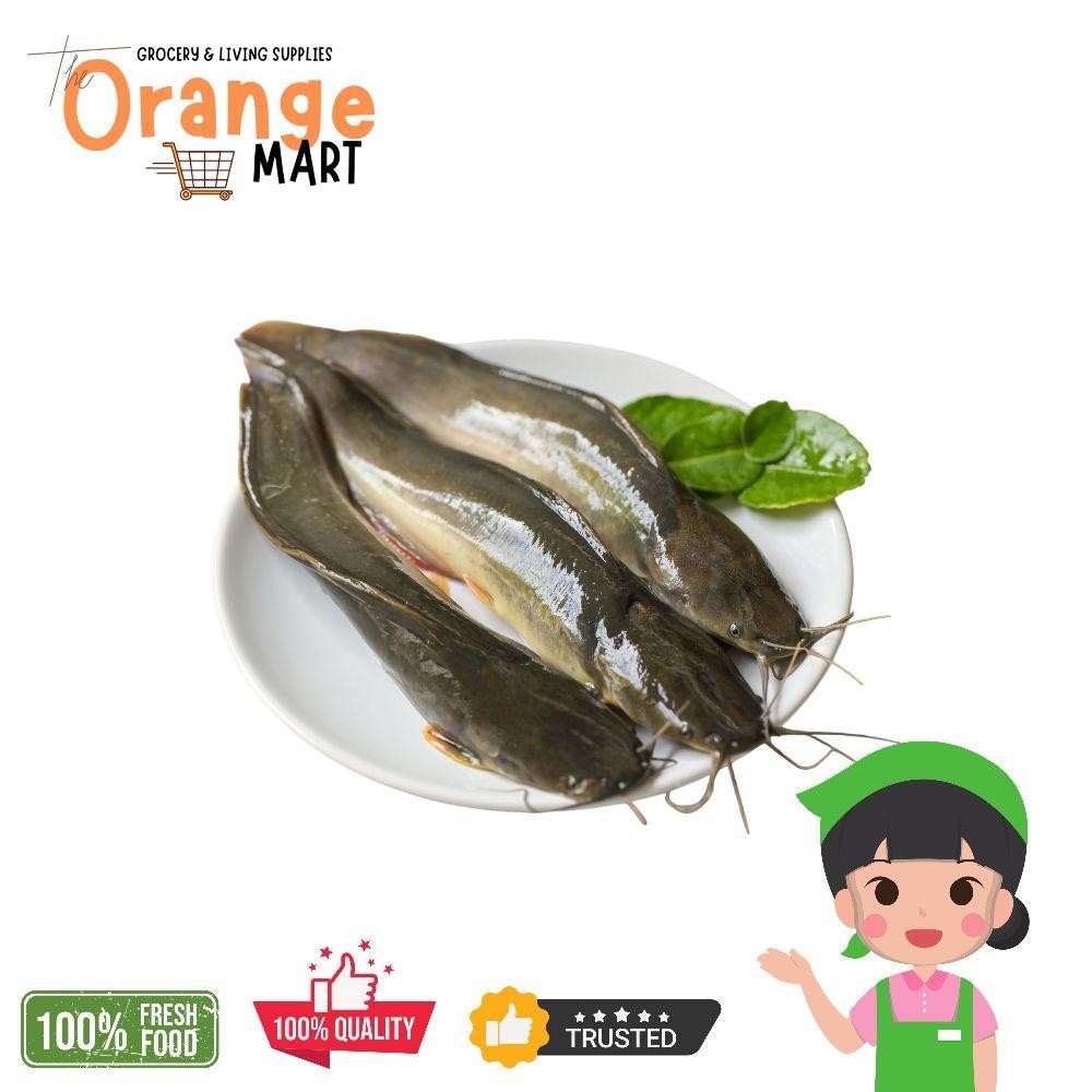 

Ikan Lele Segar 500gram (Bukan Frozen )/ Ikan Lele Mentah Segar
