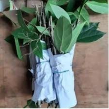 stek cincau perdu/kipanas