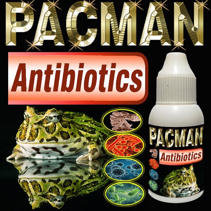 PACMAN ANTIBIOTIK OBAT PILEK PNEUMONIA PENYAKIT PERNAPASAN REPTILE SUPLEMEN MULTIVITAMIN KODOK KATAK