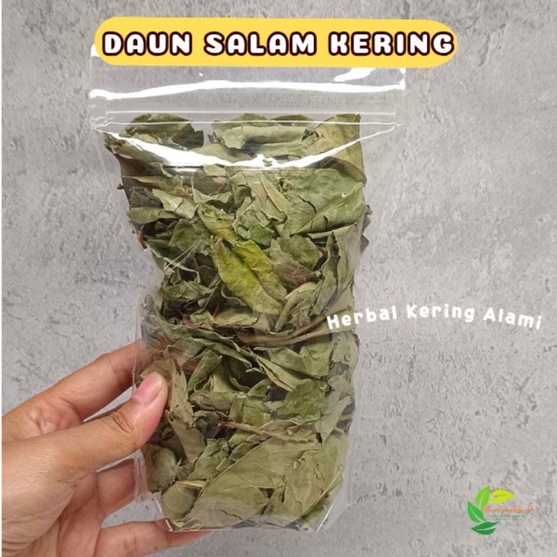 

Daun Salam Kering 50 gr Murni Kualitas Bagus