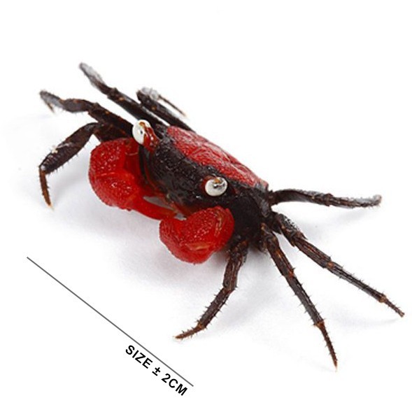 Kepiting Red Devil Aquascape / Red Devil Crab / Kepiting Merah
